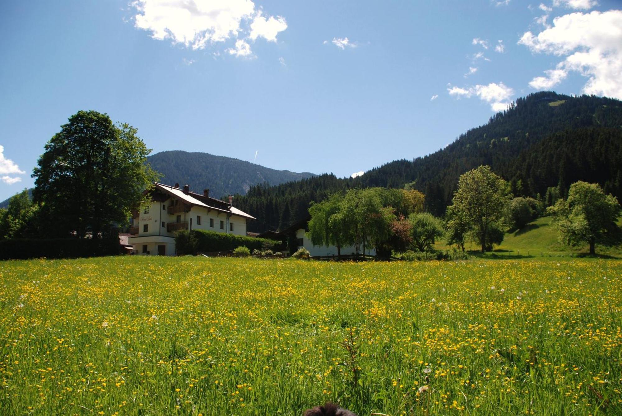 Haus Tirol Hotel Brixen im Thale Exterior photo